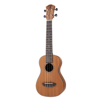 aNueNue Ukulele Mini Mahogany (aNN-MCM) (ソプラノ/コンサートネック) ☆セール対象商品!!☆