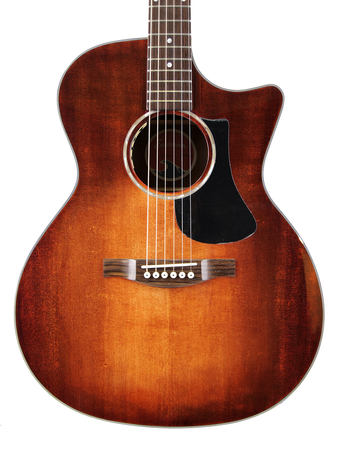 Eastman PCH2-GACE-CLA（エレアコ）