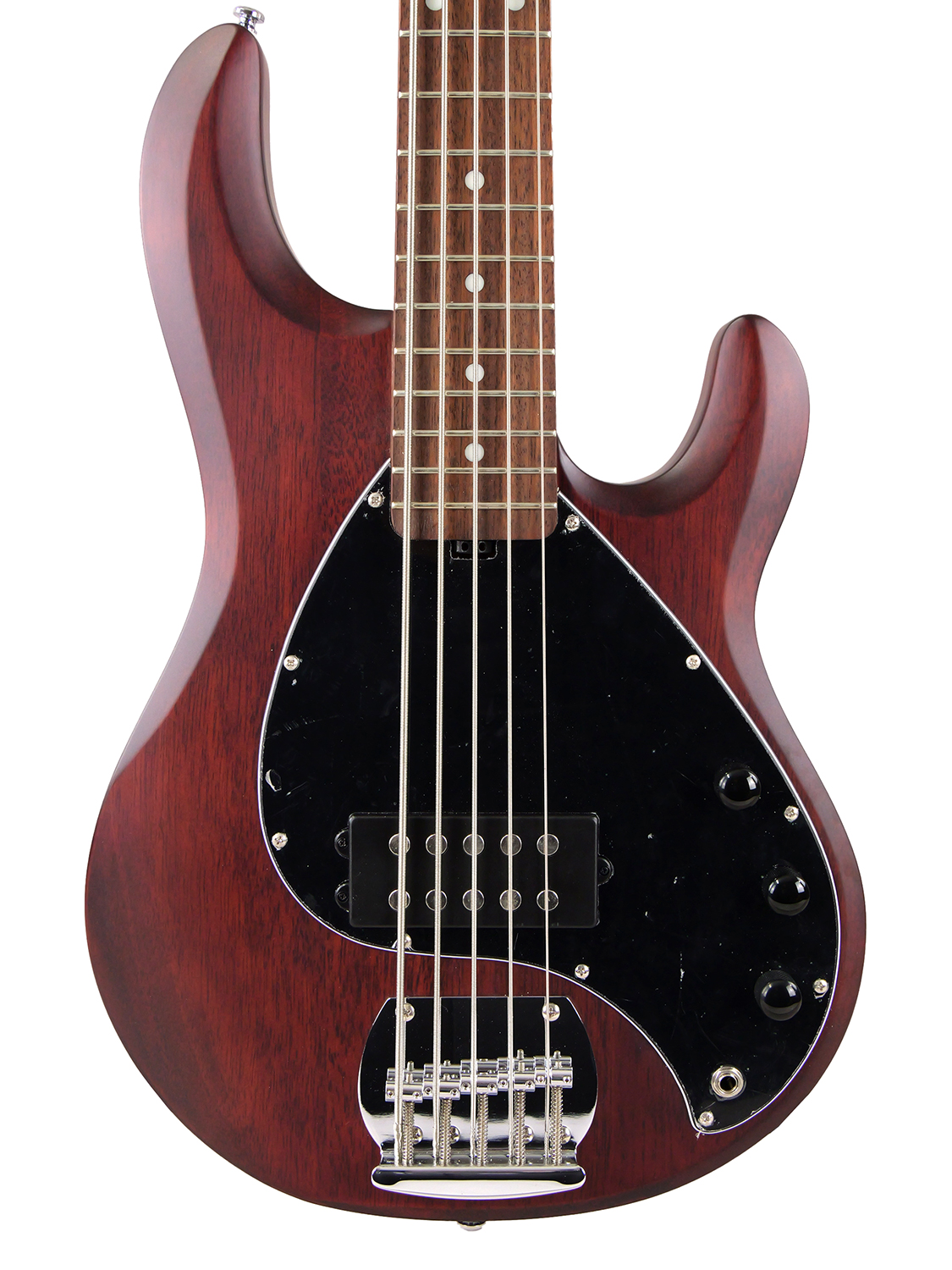 Sterling by MUSIC MAN S.U.B. Series RAY5 (WALNUT SATIN)