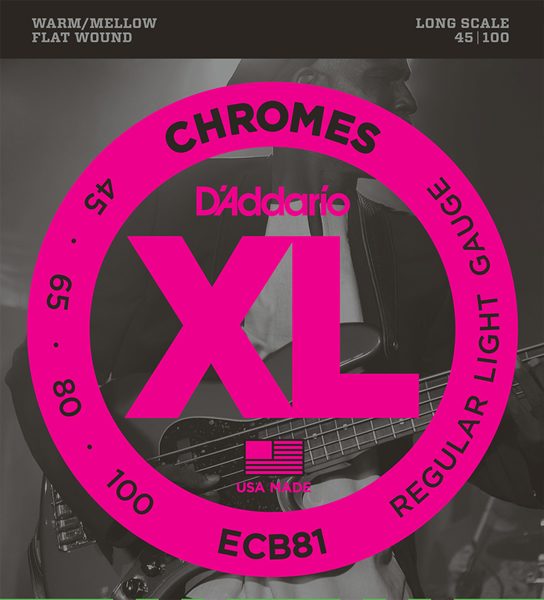 D'Addario ECB81 (45-100)