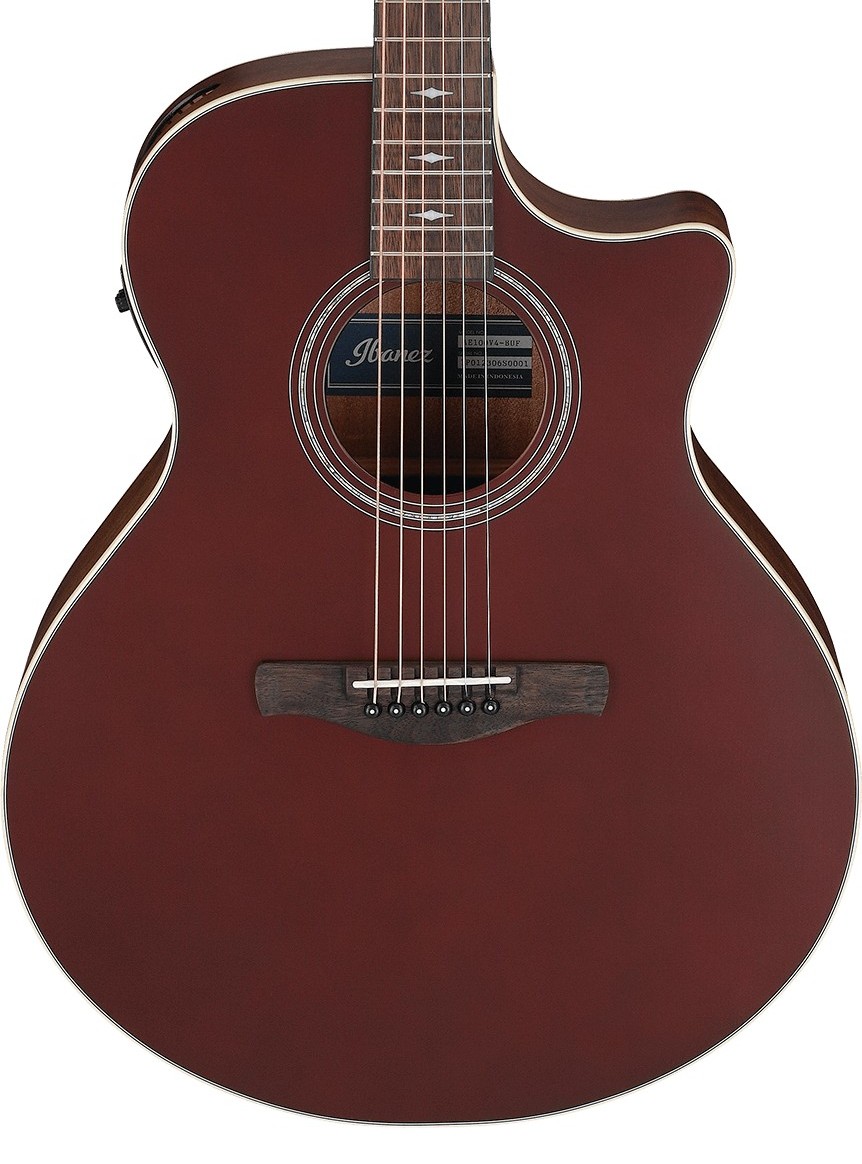 Ibanez AE100 (Burgundy Flat)