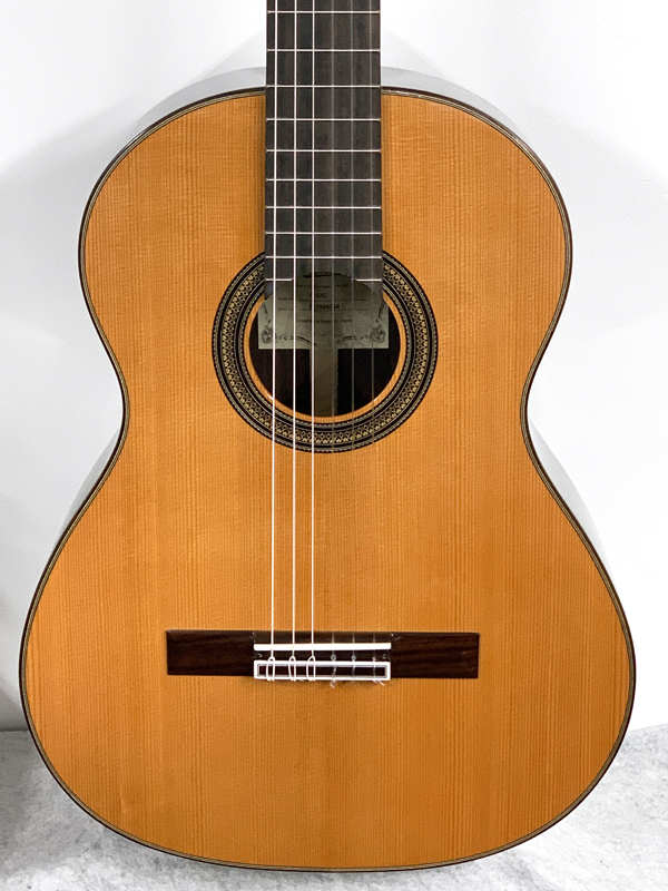 ARIA A-50C