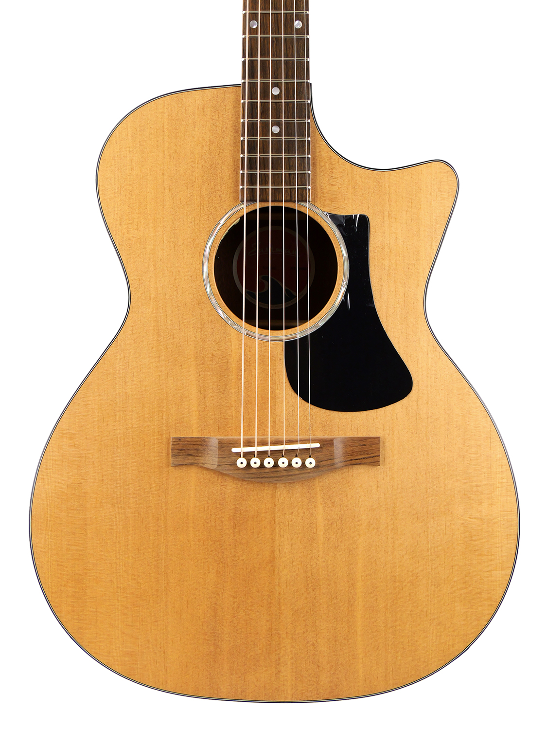 Eastman PCH1-GACE（エレアコ）